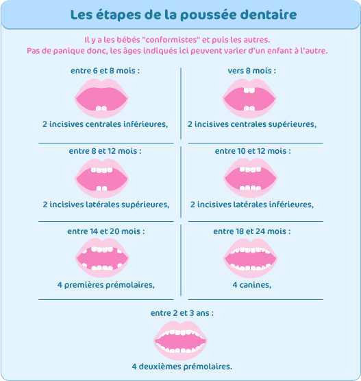 étapes de la poussée dentaire — free download